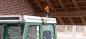 Preview: FENDT Favorit Dachdekor Satz